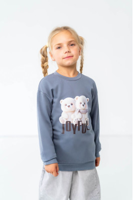 Комплект для дівчаток з 2-х світшотів 